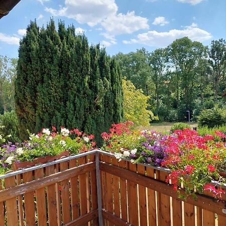 Ferienwohnung Meissner Bad Rodach Bagian luar foto